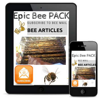 Bee Info Mail Pack